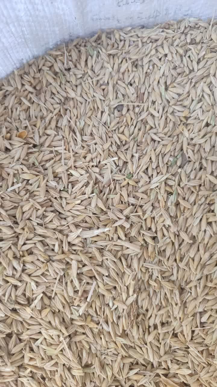 فروش جو