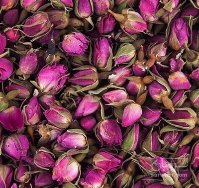 فروش غنچه گل محمدی