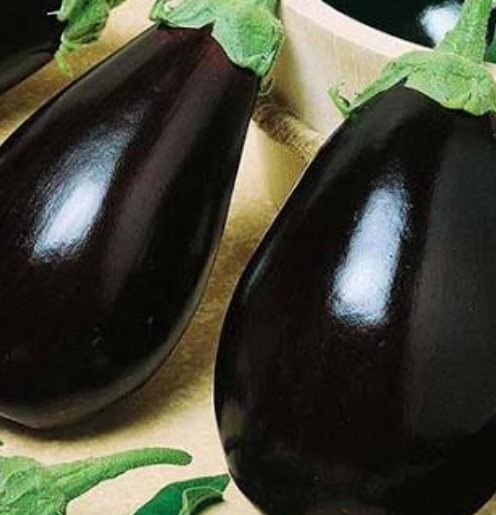 فروش بادمجان دلمه هوای ازاد