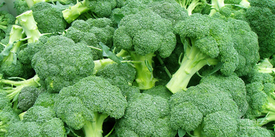 فروش کلم بروکلی