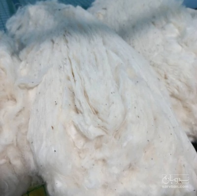 فروش پنبه