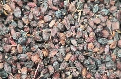 فروش زرشک کوهی