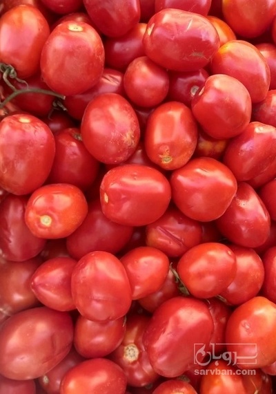 فروش گوجه فرنگی هوای ازاد