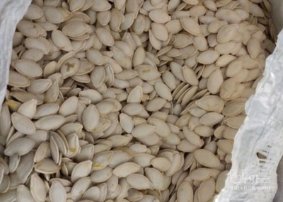 فروش تخمه  کدو بو داده