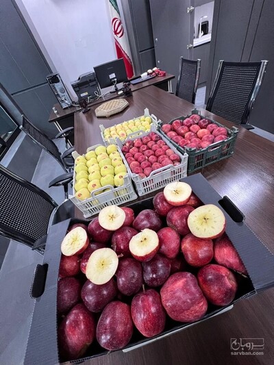 فروش سیب زرد صادراتی