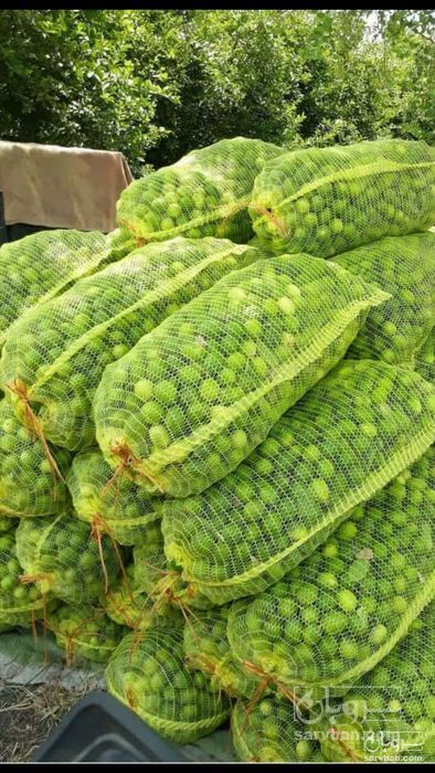 فروش لیموترش