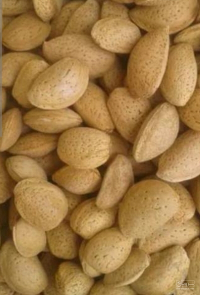 فروش بادام