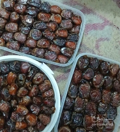 فروش خرما برحی