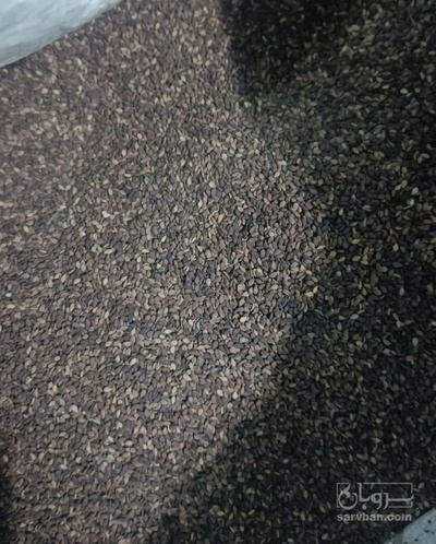 فروش کنجد محلی