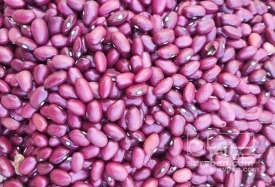 فروش لوبیا قرمز