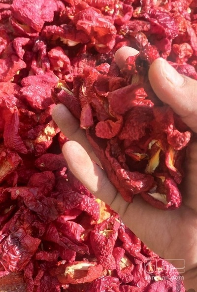 فروش پاپریکا خشک