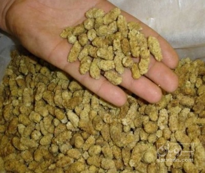 فروش توت خشک