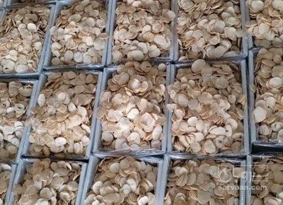 فروش موسیر پلاک