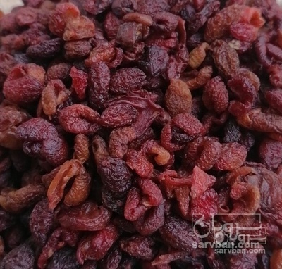 فروش زغال اخته خشک بی هسته