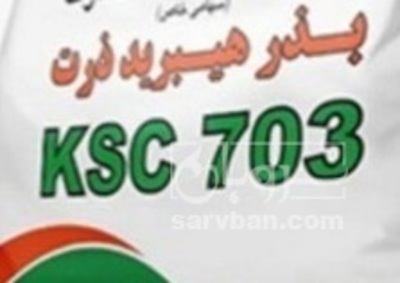 فروش بذر  ذرت علوفه ای _ دانه ای