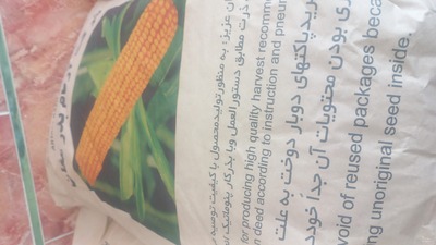 فروش بذر ذرت ۷۰۴ و ۶۴۷