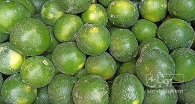 فروش نارنگی ژاپنی