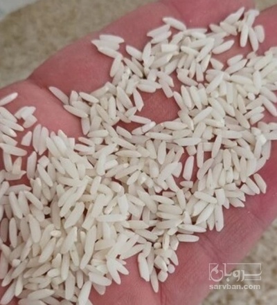 فروش برنج طارم