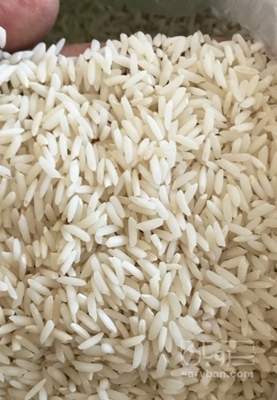 فروش برنج طارم