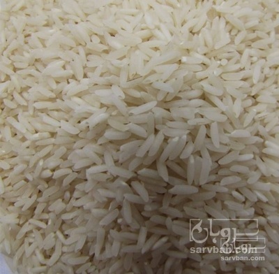 فروش برنج هاشمی