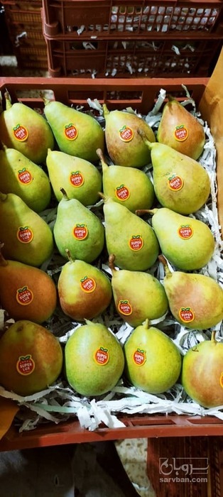 فروش گلابی بیروتی