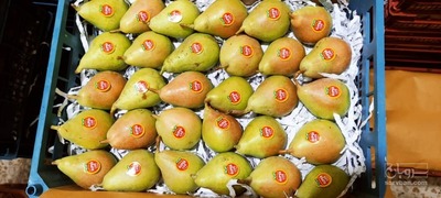 فروش گلابی بیروتی 3
