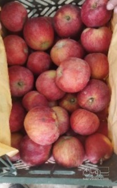 فروش سیب قرمز