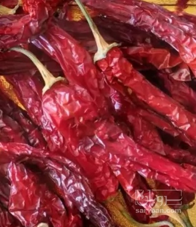 فروش فلفل تند قرمز خشک