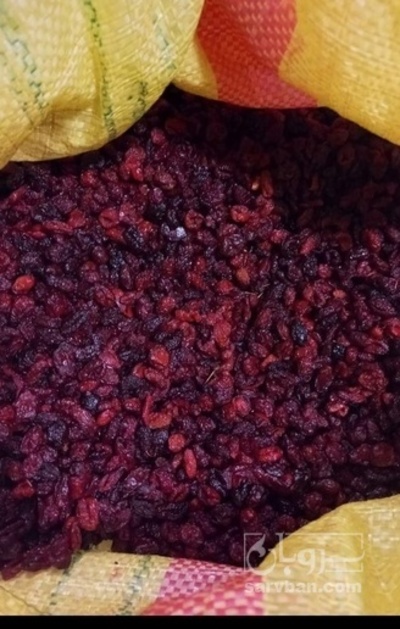 فروش زغال اخته خشک