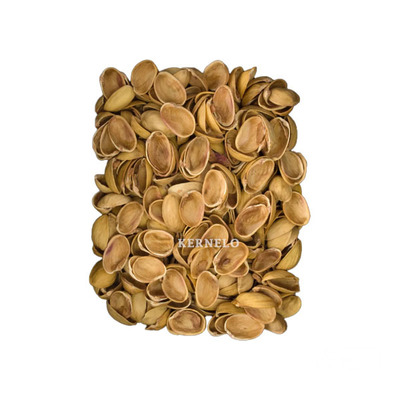 فروش پوست  پسته