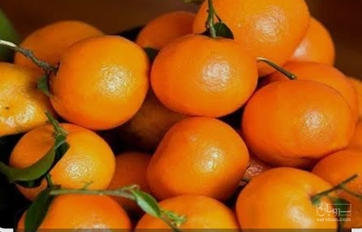 فروش نارنگی ژاپنی
