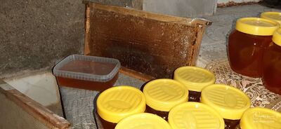 فروش انواع عسل