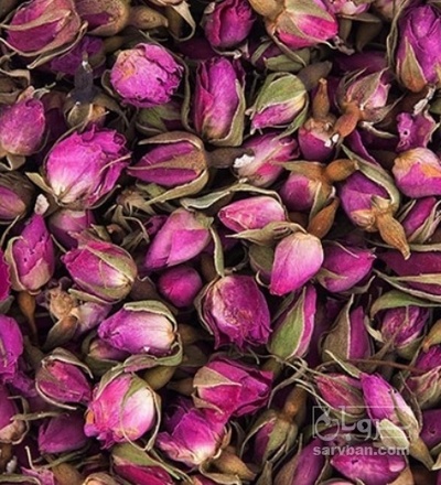 فروش گل محمدی (گیاه‌ دارویی)