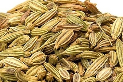 فروش رازیانه (گیاه‌ دارویی)