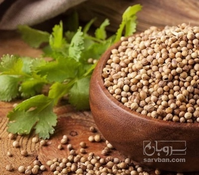 فروش تخم گشنیز (گیاه‌ دارویی)