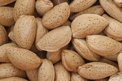 فروش بادام درختی اعلا