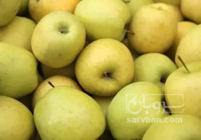 فروش سیب زرد