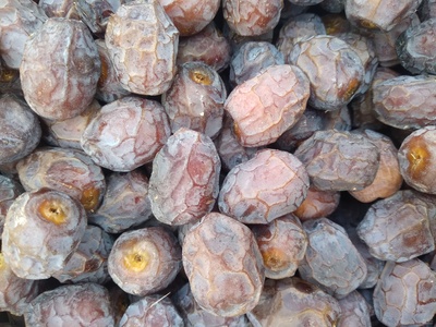 فروش خرما شاهانی