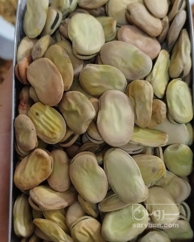 فروش باقلا تازه - باقالی - باقالا