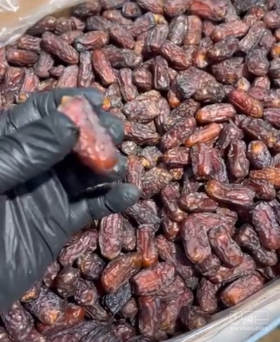 فروش خرما پیارم