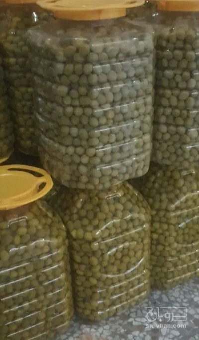 فروش زیتون رویال