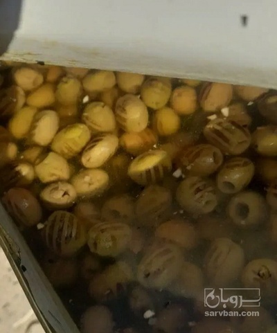 فروش زیتون کبابی