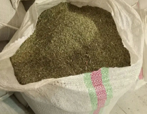 فروش رازیانه (گیاه‌ دارویی)