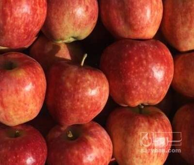 فروش سیب قرمز