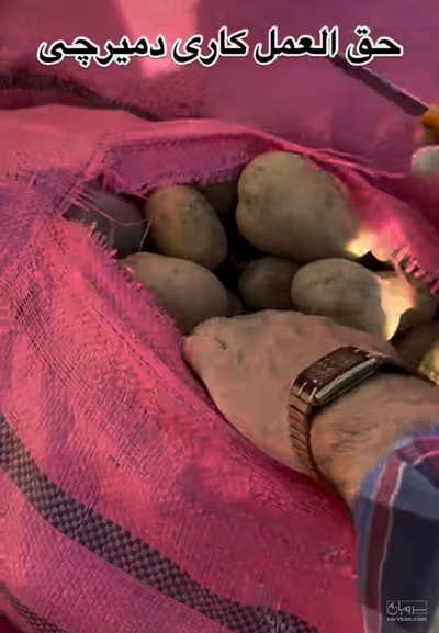 حق العمل کاری دمیرچی