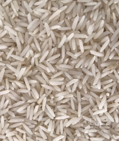 فروش برنج طارم هاشمی