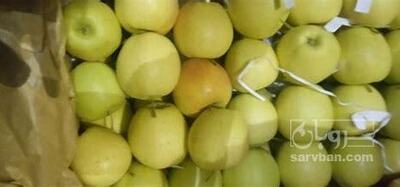 فروش سیب ضایعاتی