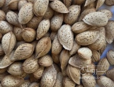 فروش بادام درختی