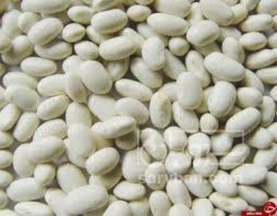 فروش لوبیا سفید
