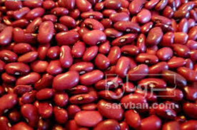 فروش لوبیا قرمز